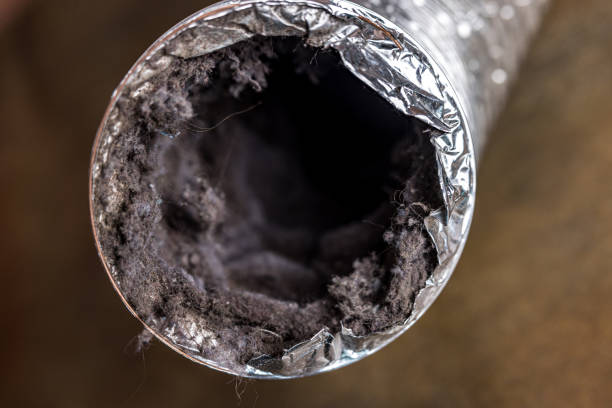Best HVAC Duct Inspection Services  in Belton, SC