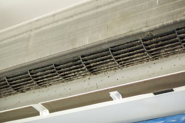 Best Affordable Air Duct Cleaning  in Belton, SC