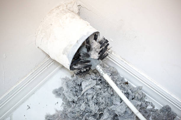 Best Professional Duct Cleaning Services  in Belton, SC
